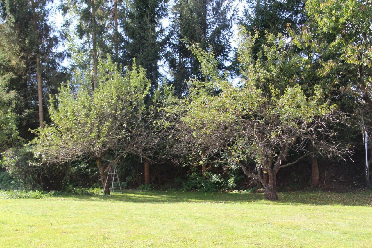 Vila Narrenhaus Fohnsdorf Exteriér fotografie